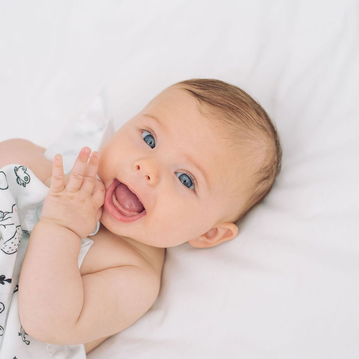 Forest Animal Satin Comforter 2 - Pack - White Satin - Bullabaloo