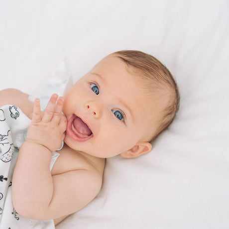 Forest Animal Satin Comforter 2 - Pack - White Satin - Bullabaloo